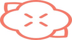 Persimmon